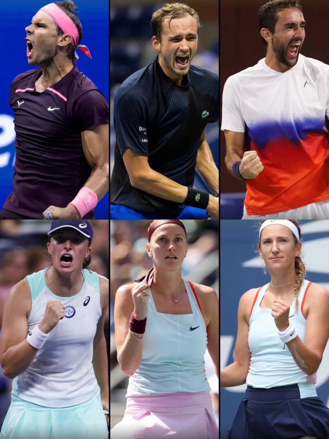 爱游戏- 阿扎伦卡现世界排名 